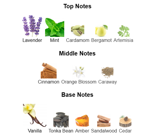 Jean Paul Gaultier Le Male EDT