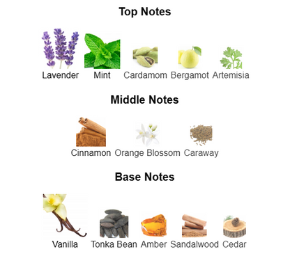 Jean Paul Gaultier Le Male EDT