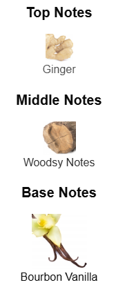 Azzaro The Most Wanted Parfum